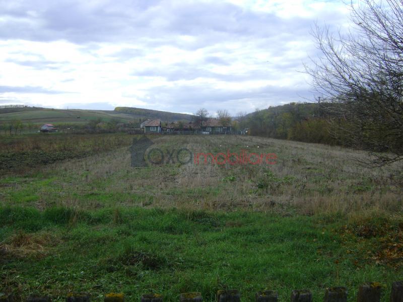 Land  for sell in Iclod